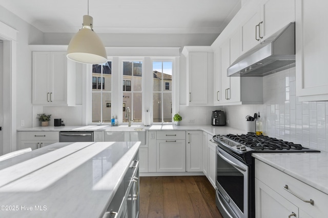 kitchen with under cabinet range hood, a sink, dark wood-style floors, stainless steel appliances, and decorative backsplash