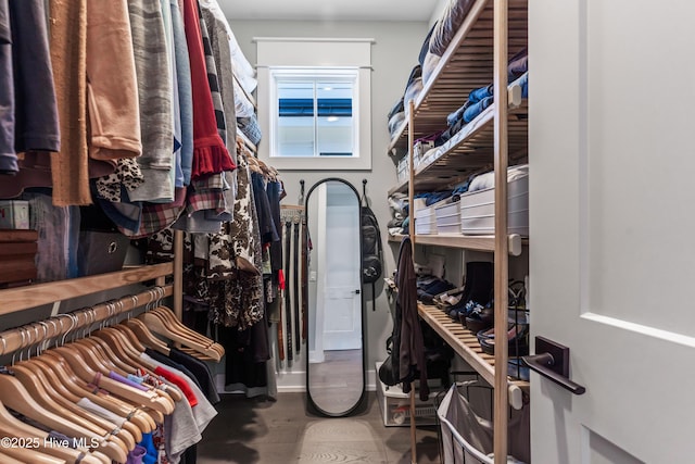 spacious closet featuring wood finished floors