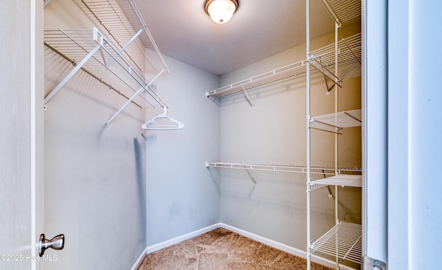 spacious closet with carpet flooring