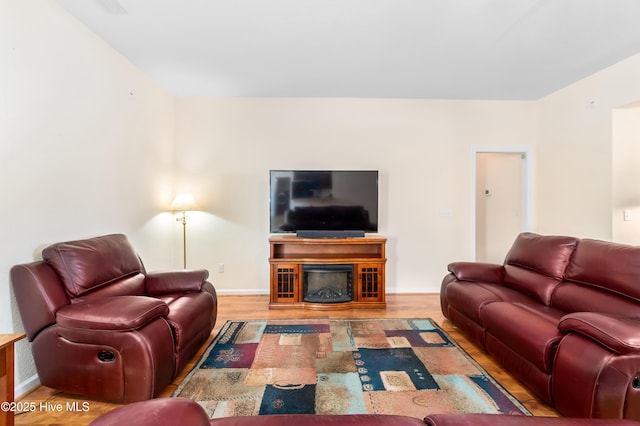 living room featuring wood-type flooring