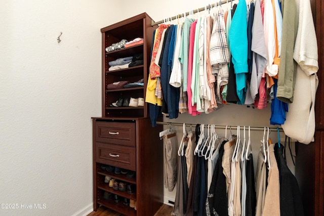 view of spacious closet