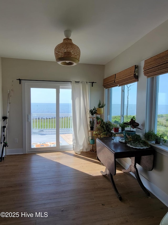 interior space featuring a water and mountain view, dark hardwood / wood-style floors, and a wealth of natural light