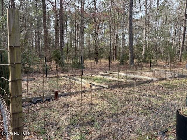 view of yard with a vegetable garden