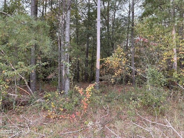 LOT1 Midway Rd Unit 1, Rowland NC, 28383 land for sale