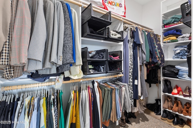 view of spacious closet