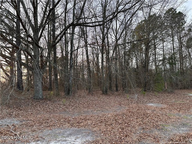 LOT2 Midway Rd Unit 2, Rowland NC, 28364 land for sale