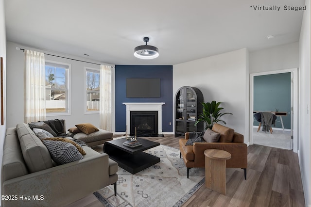 living room featuring wood-type flooring