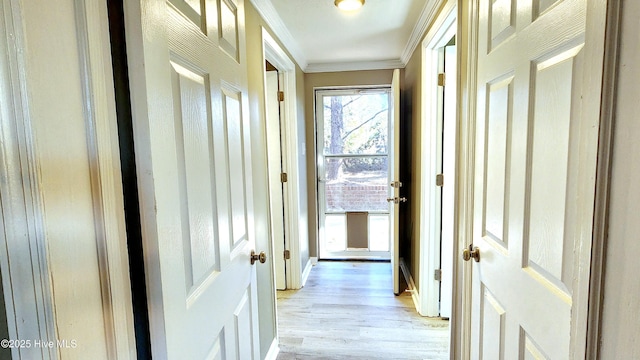 corridor featuring crown molding and light wood-type flooring