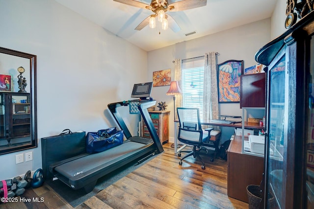 exercise room featuring wood-type flooring and ceiling fan