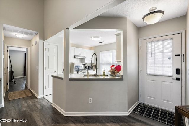 entryway with dark hardwood / wood-style flooring and sink