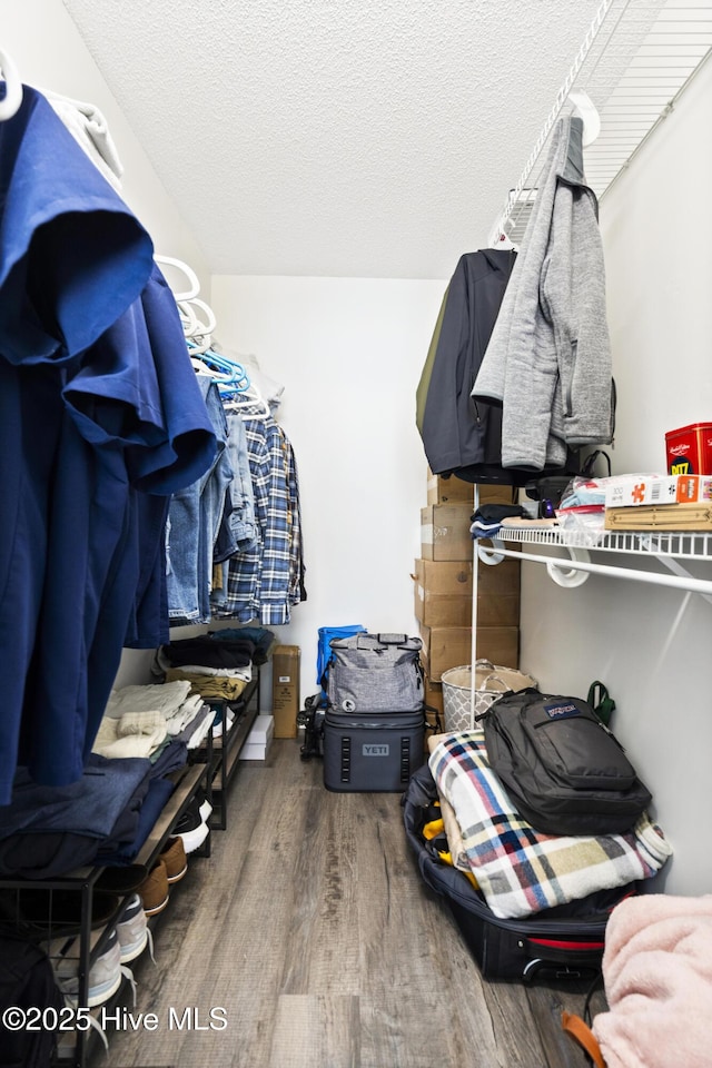 walk in closet featuring wood-type flooring