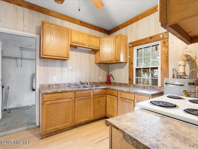 kitchen featuring wood walls, sink, range, ceiling fan, and light hardwood / wood-style floors