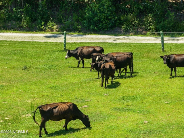 view of property's community featuring a yard