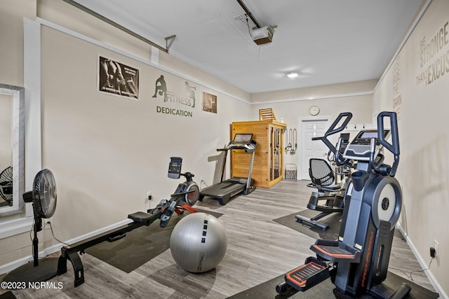 exercise room featuring light hardwood / wood-style flooring