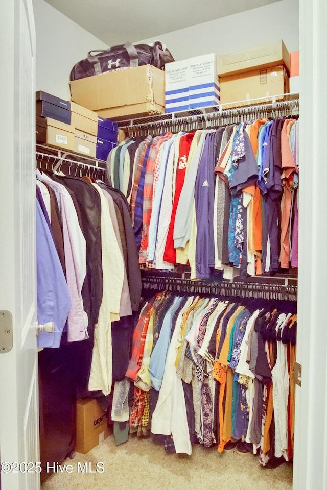 walk in closet featuring carpet flooring