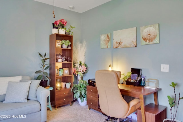 office space with light colored carpet