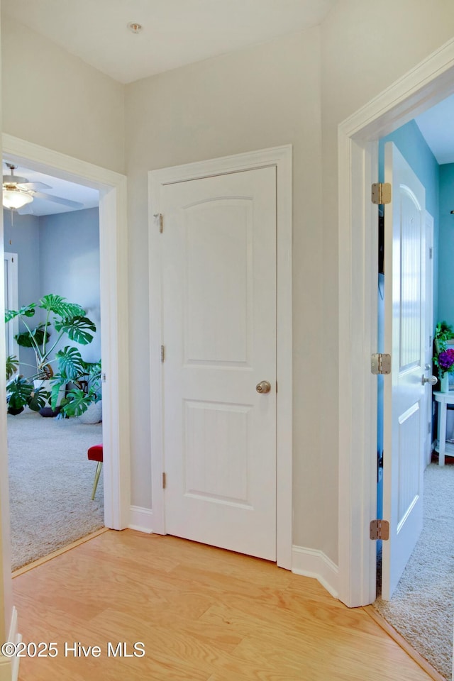 hall featuring wood-type flooring