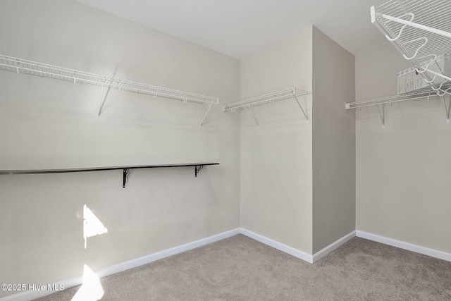 spacious closet with light colored carpet