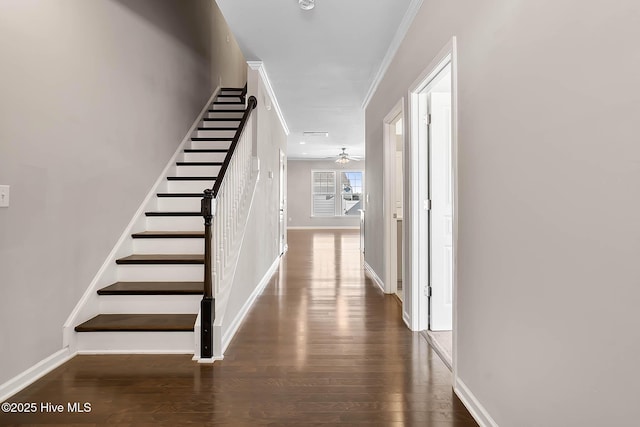 staircase with crown molding, hardwood / wood-style floors, and ceiling fan