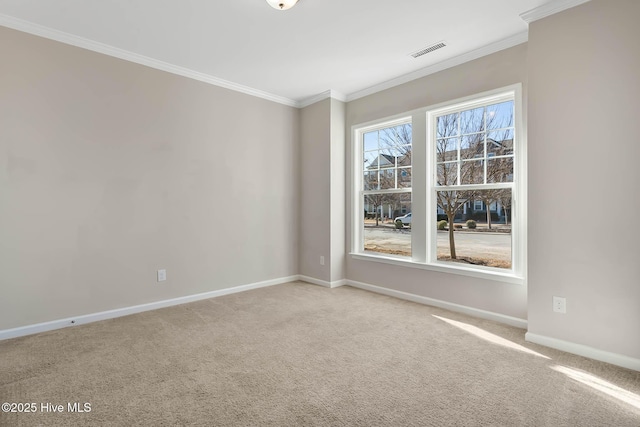 carpeted empty room with crown molding