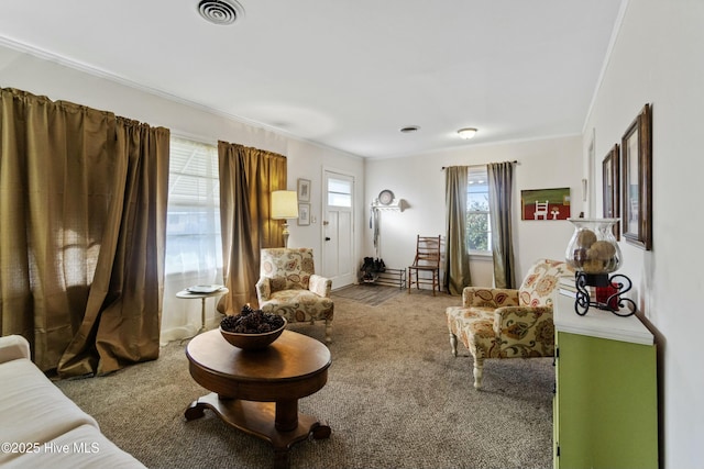 living area featuring ornamental molding and carpet floors