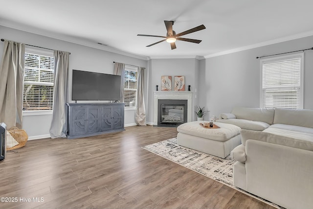 living room featuring wood-type flooring, ceiling fan, and crown molding