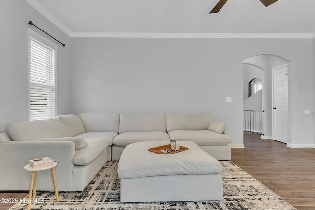 living room with ceiling fan, ornamental molding, and wood-type flooring