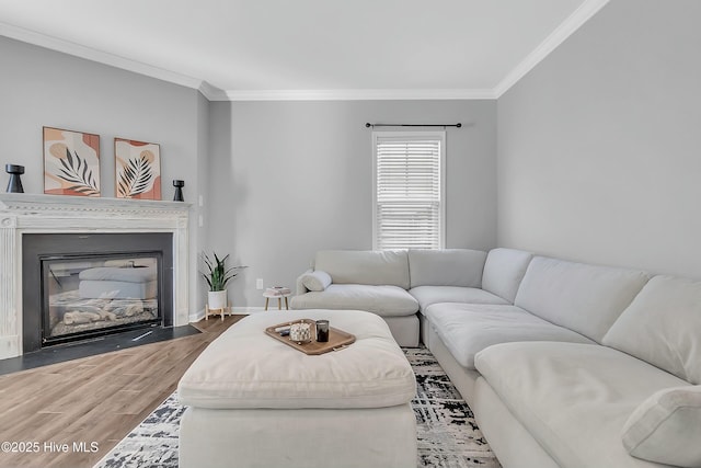 living room featuring ornamental molding and wood-type flooring