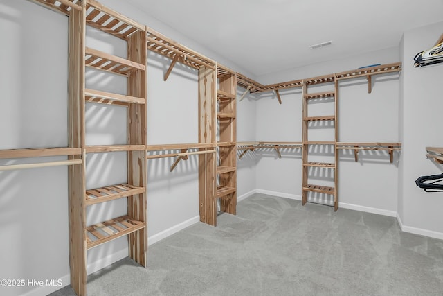 walk in closet with carpet floors