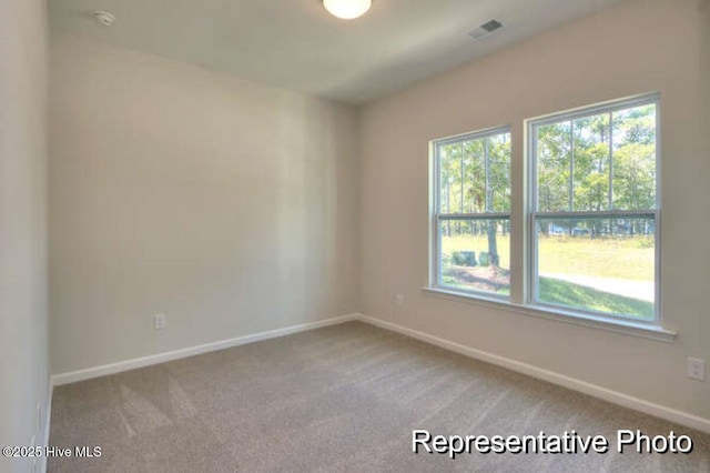 unfurnished room featuring light colored carpet and a wealth of natural light