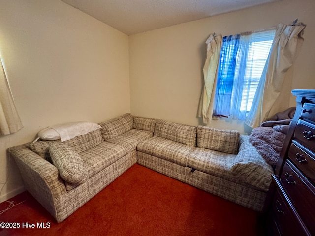 living room featuring dark colored carpet