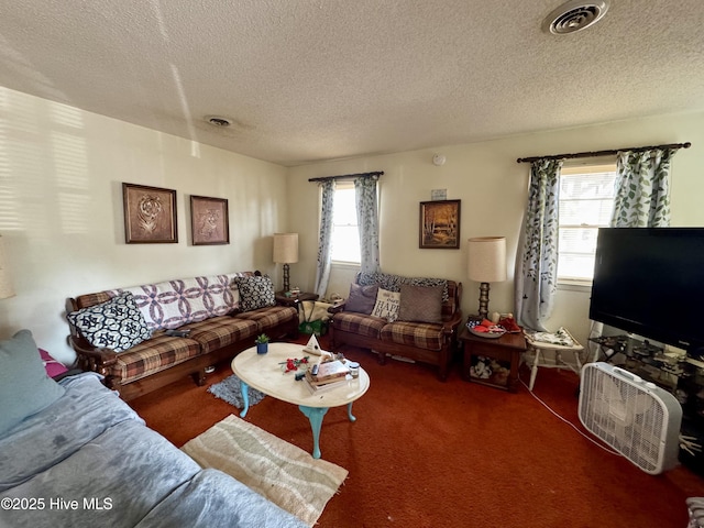 living room with carpet and a textured ceiling