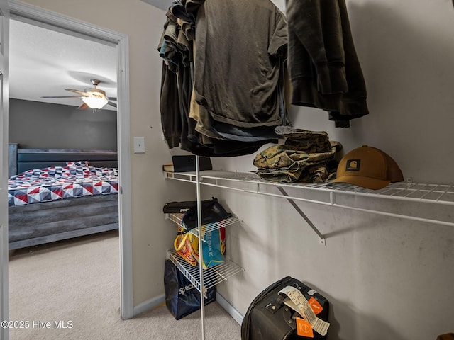 walk in closet with ceiling fan and light carpet