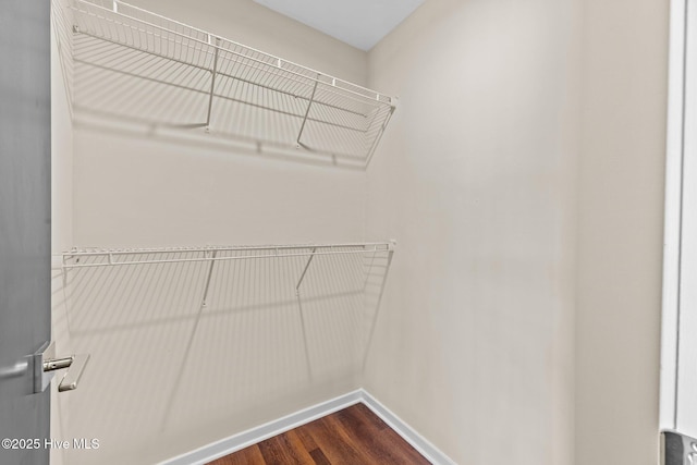 spacious closet with dark wood-type flooring