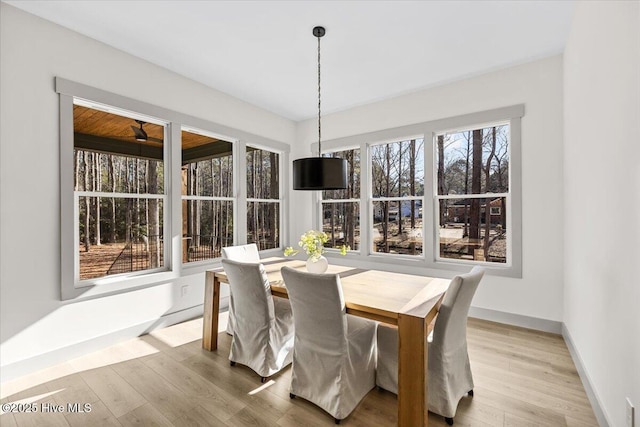 dining space featuring light hardwood / wood-style floors