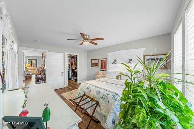 bedroom featuring dark wood-type flooring, a walk in closet, a closet, and ceiling fan