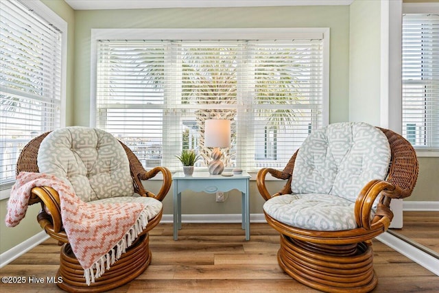 sitting room featuring hardwood / wood-style flooring