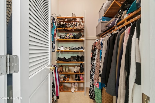 view of spacious closet