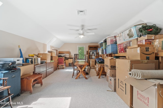 storage with ceiling fan