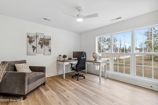 office space with a wealth of natural light, ceiling fan, and light hardwood / wood-style flooring