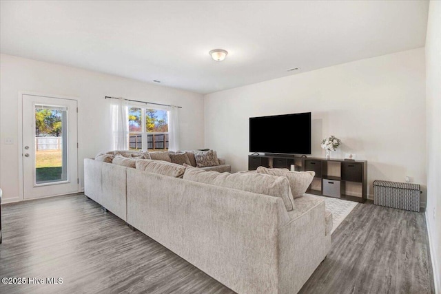 living room featuring hardwood / wood-style floors