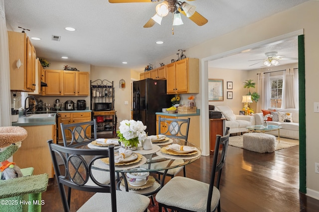 dining space with sink, dark wood-type flooring, a textured ceiling, and ceiling fan