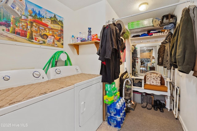 washroom with separate washer and dryer and carpet floors