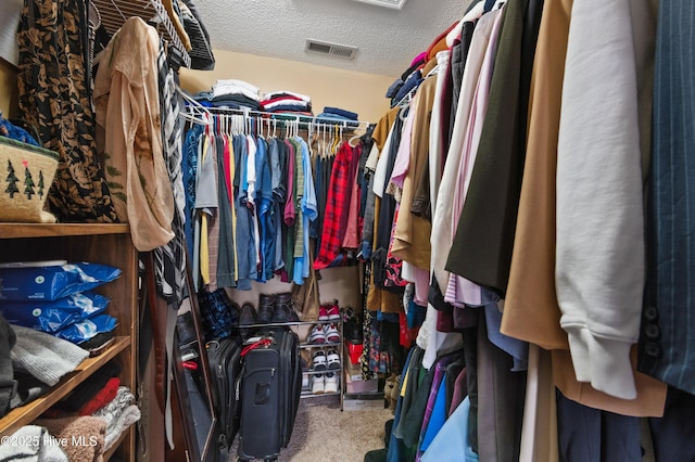 walk in closet with carpet