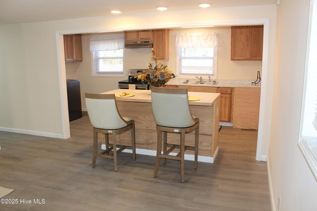 kitchen featuring a center island, light countertops, a kitchen bar, electric stove, and a sink