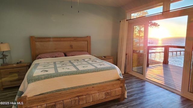 bedroom with dark wood-type flooring, access to exterior, and multiple windows