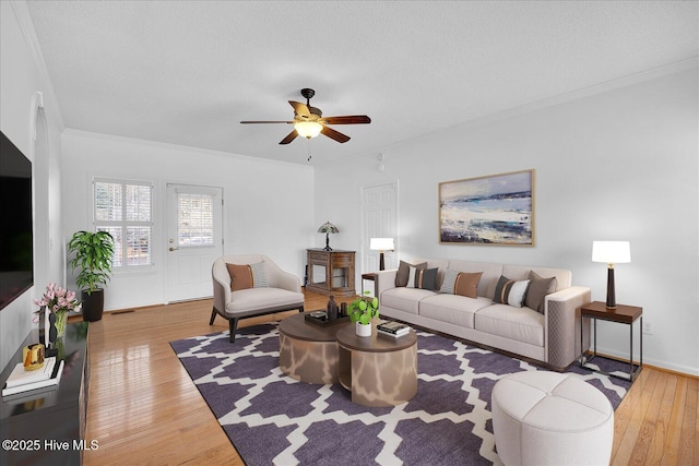 living room with hardwood / wood-style flooring, ornamental molding, and a textured ceiling