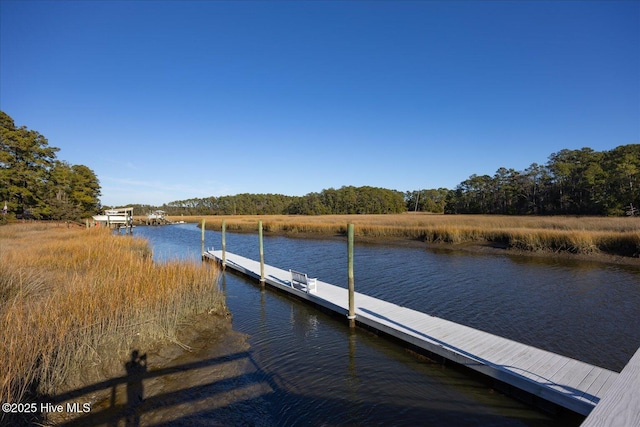 view of dock with a water view