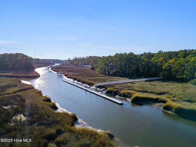 property view of water