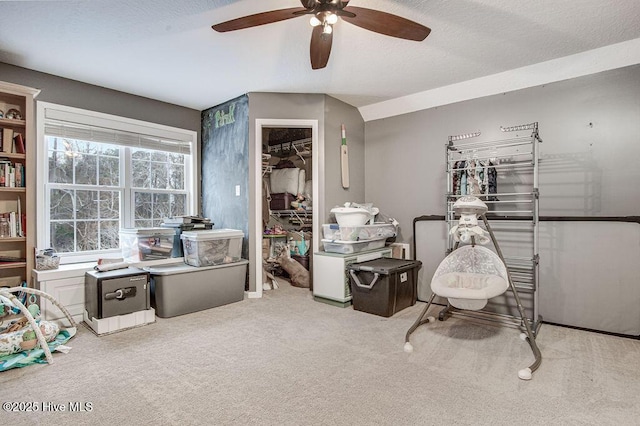 living area with carpet and a textured ceiling